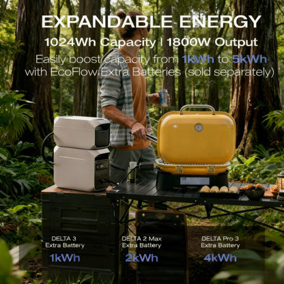 Portable Power Station DELTA 3 Plus, Solar Generator (Solar Panel Optional), 1000W Solar Input, Electric Generator with UPS, 1024Wh LFP Battery for Home Backup, Camping & RV